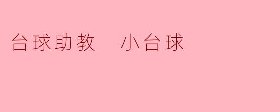 什么是台球助教小台球,它的功能有哪些?****